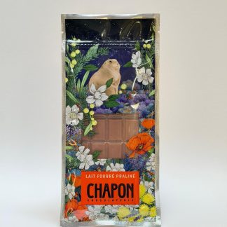 LAIT FOURRÉ PRALINÉ