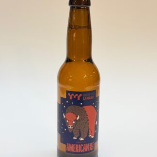 BIERE AMERICAN IPA HYPE